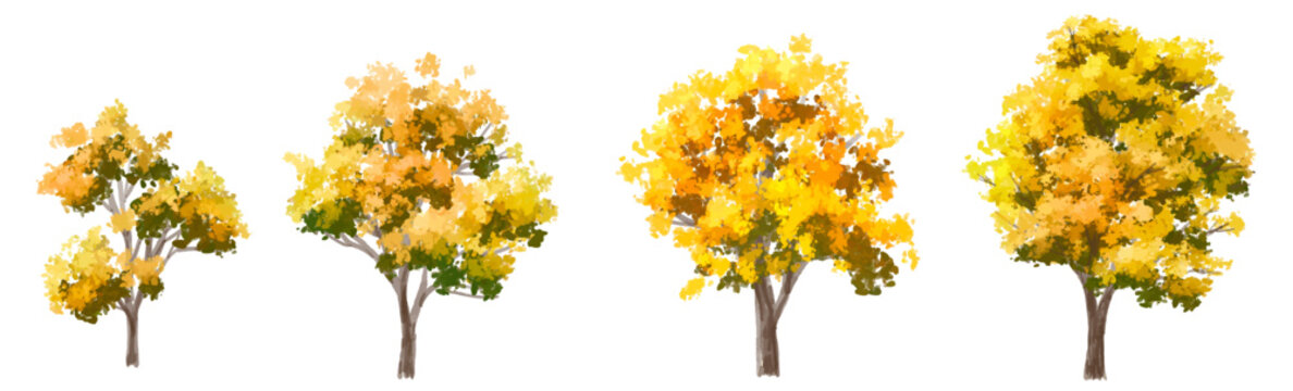 Vector watercolor blooming flower tree or forest side view isolated ofn white background for landscape and architecture drawing,elements for environment and garden,botanical for section in autumn   