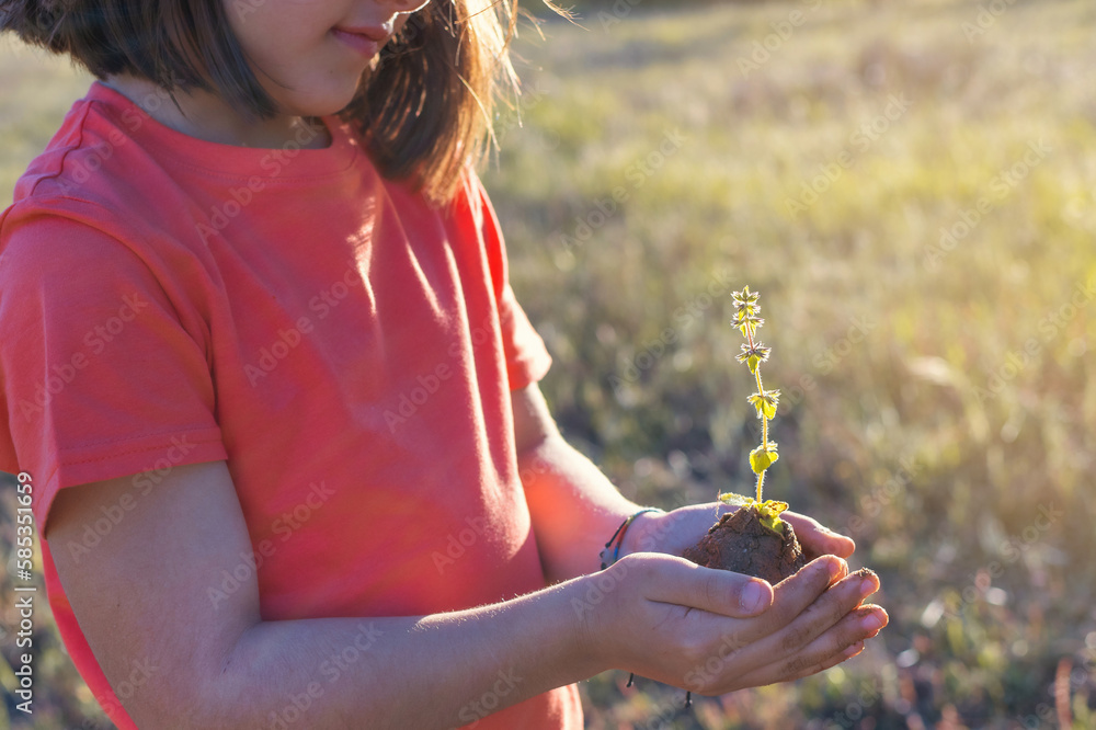 Wall mural little girl holding a plant. plant in hands. ecology concept. nature background