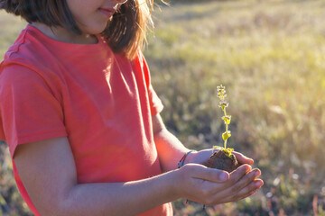 Little Girl Holding A Plant. Plant in Hands. Ecology concept. Nature Background
