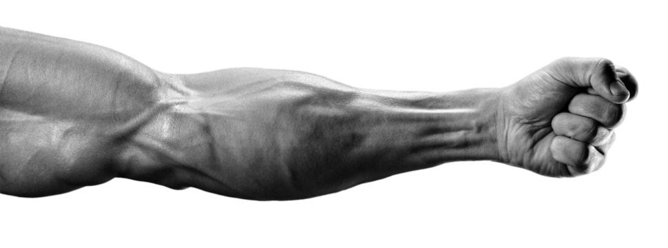 Muscular arm. Black and White Isolated PNG photo of a man's muscular arm tensed in a fist, with visible veins and defined muscles. Power hand