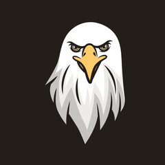 Eagle Head mascot. Vector illustration of Bald eagle. Vector Bald Eagle or Hawk Head Mascot 