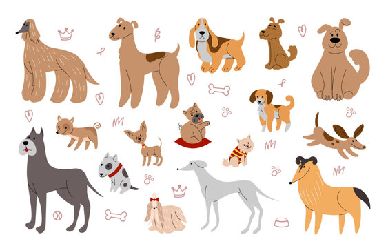 Happy sketch dogs. Doodle pretty pets. Cute domestic animal portraits. Funny puppy poses. Nature kids actions. Purebred mammals. Canine breeds. Mastiff and terrier. Vector tidy design set