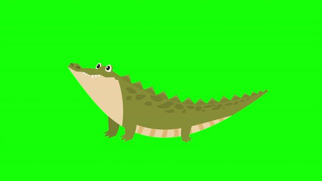 Cartoon crocodile icon loop Animation video transparent background with alpha channel.