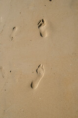 Footprints of an adult and a child on wet sea sand