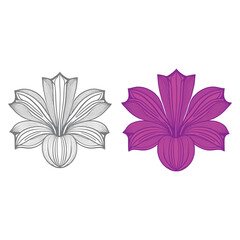 Lily flowers coloring books Make Line art, hand-drawn illustrations.Perfect for creating coloring pages, coloring books, enchanting holiday invitations, and other creative projects.