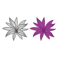 Lily flowers coloring books Make Line art, hand-drawn illustrations.Perfect for creating coloring pages, coloring books, enchanting holiday invitations, and other creative projects.
