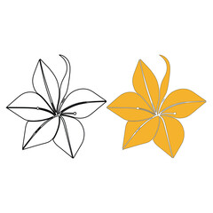 Lily flowers coloring books Make Line art, hand-drawn illustrations.Perfect for creating coloring pages, coloring books, enchanting holiday invitations, and other creative projects.