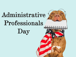 Administrative Professionals Day. Beautiful card with a cute puppy and a congratulatory inscription. Closeup. Congratulations for loved ones, relatives, friends and colleagues