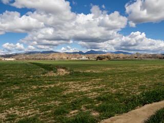 Fototapeta na wymiar landscape with a field and sky