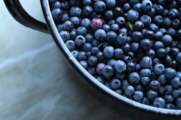 Lots of blueberries in the frame. A bunch of blueberries on the whole screen.