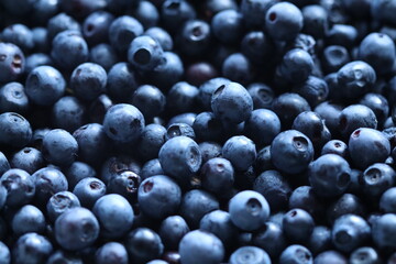 Lots of blueberries in the frame. A bunch of blueberries on the whole screen.