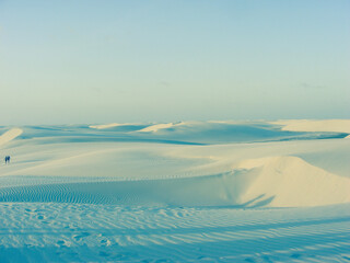 landscape with dunes