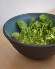 Sallad bowl