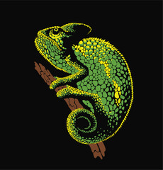 Chameleon Vector Illustration on Black Background