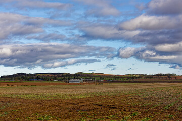 Fototapeta premium The flat Farmland north of Friockheim looking towards Bolshan Hill, with some fields prepared for planting, and various Agricultural buildings.