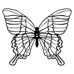 Decorative trendy graphic sketch of butterfly. Isolated graphic element of butterfly silhoette of Y2k aesthetic 