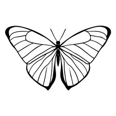 Decorative trendy graphic tattoo sketch of butterfly. Isolated graphic element of butterfly silhoette of Y2k aesthetic 