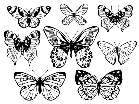 Set of graphic monochrome sketch of different butteflies. Y2k butterflies tattoo line sketch. Butterfly silhoette trendy y2k aesthetic