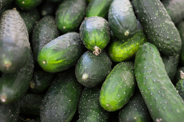 cucumbers on market counter in wicker basket