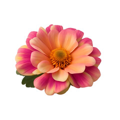pink dahlia isolated on white background - orange flower - Generative AI