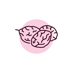 Prunes black line icon. Natural organic super food