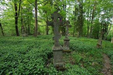 Old cemetery in Swierzowa Ruska - former and abandoned village in Low Beskids, Poland