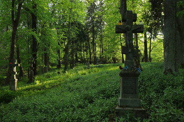 Old cemetery in Swierzowa Ruska - former and abandoned village in Low Beskids, Poland