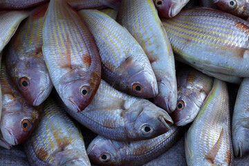 Daily life. Vietnam.