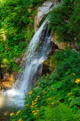 Naklejka premium beautiful waterfall in the mountains in summer