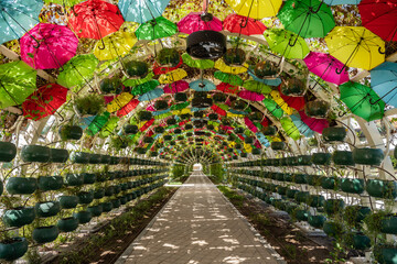 Tunnel aus Pflanzkübeln und bunten Sonnenschirmen  spendet den Fußgängern auf dem Gehweg in...