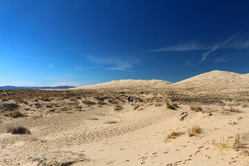 Fototapeta na wymiar Wüste an den Kelso Dunes in der Mojave Wüste