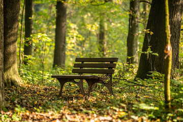 pusta ławka w jesiennym parku - obrazy, fototapety, plakaty