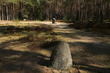 Stone circle in Grzybnica, Poland
