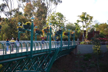 Brücke im San Diego Zoo
