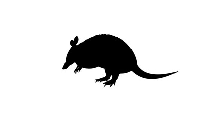 Armadillo isolated icon