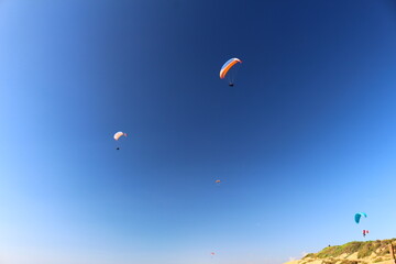 Black's Beach in San Diego, Kalifornien (California), USA
