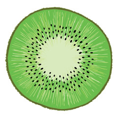 Kiwi - zielony, słodki i soczysty owoc o brązowej skórce. Zielony miąższ kiwi z czarnymi pestkami. Dojrzałe pyszne i orzeźwiające kiwi. Realistyczna ilustracja, rysunek wektorowy - obrazy, fototapety, plakaty