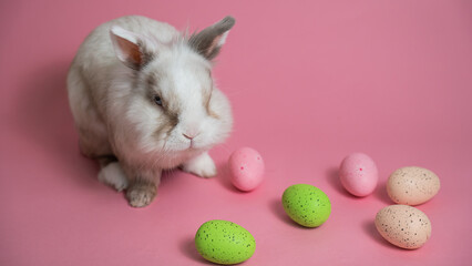 Easter Bunny on a pink background with colorful painted eggs.