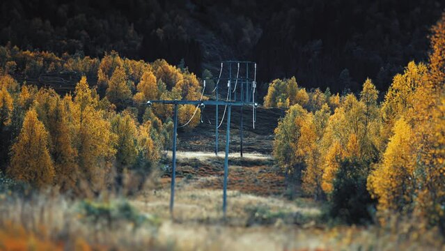 Overhead Powerlines Go Through The Clearing In The Forest. Pan Left Shot 