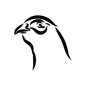 recommend clip art: Hand drawn of an pheasant, sketch. Vector illustration isolated on a white background.