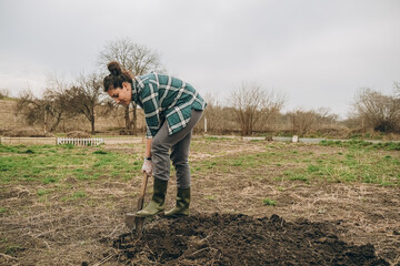 A woman is digging the earth in a field. Agricultural work in the spring in the field. Preparing the land for planting sheep in the spring.