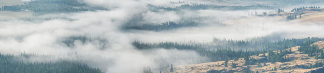 Fototapeta premium Fog in a mountain valley, panoramic view