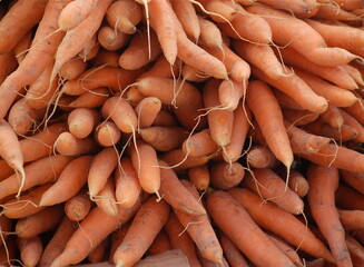 A pile of ripe orange carrots at a farmer's market