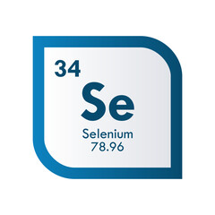 selenium icon set. vector template illustration  for web design