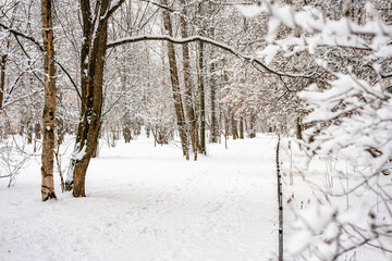 Snow-covered sidewalk during a heavy snowfall. Lots of snow on the ground and branches of trees and bushes. Cold snowy winter weather. 