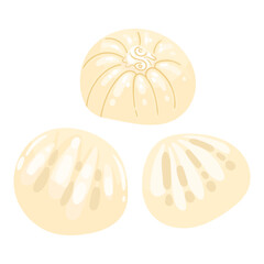 Cute cartoon dumplings vector drawing. Traditional chinese dumplings.Vector illustration clip art. Cute element for greeting cards, posters, stickers and seasonal design. Isolated on white background.