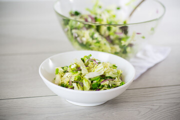 Young cabbage salad with purple onions in a bowl .