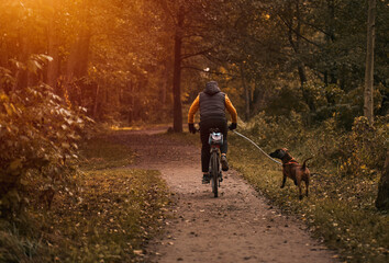 Fototapeta premium Cycling with dog in a public park