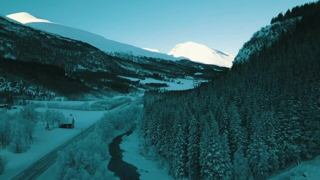 Frozen mountain river and road among the trees
