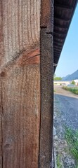 Altholz